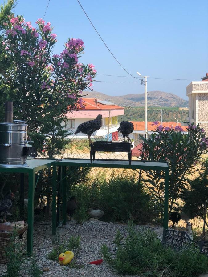 Goekceada Ugurlu Apart Εξωτερικό φωτογραφία